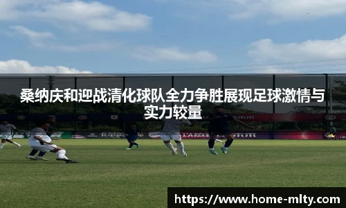 桑纳庆和迎战清化球队全力争胜展现足球激情与实力较量